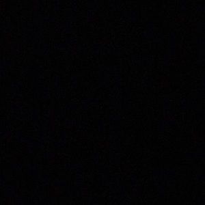 Meet your Posher, Leonardo